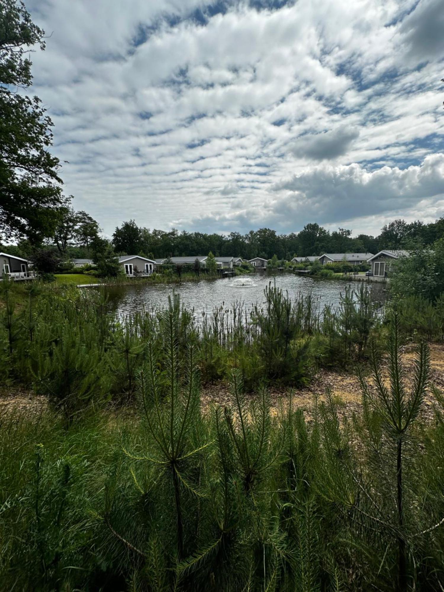 Sfeervolle Blokhut Op De Veluwe Op Recreatiepark Topparken In Beekbergen Met Vrije Tuin En Eigen Parkeerplaats Extérieur photo